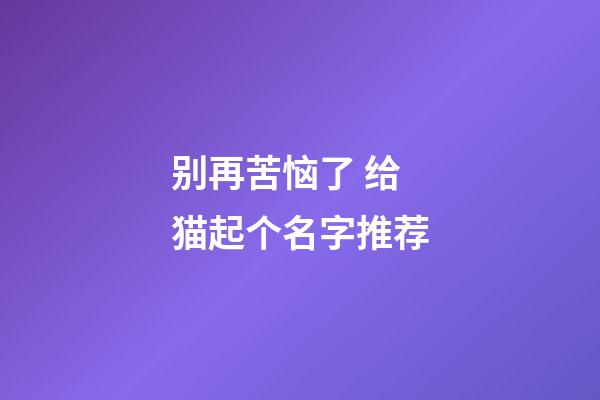 别再苦恼了 给猫起个名字推荐